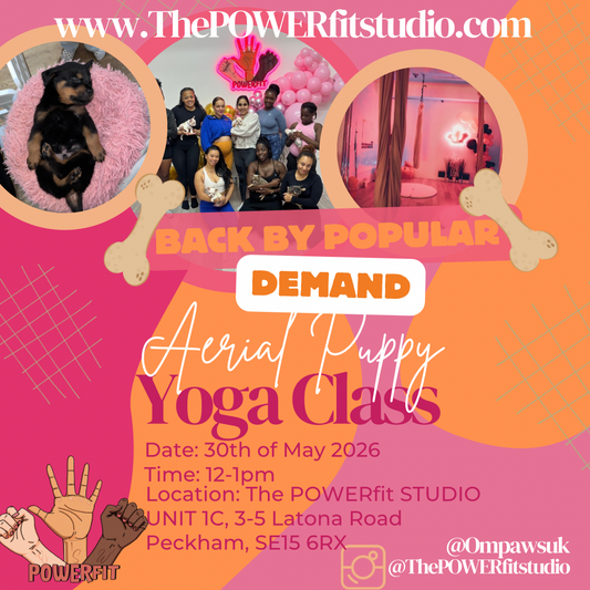 POWERfit studio Aerial puppy yoga class