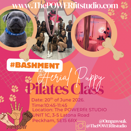 POWERfit studio Aerial puppy Pilates class